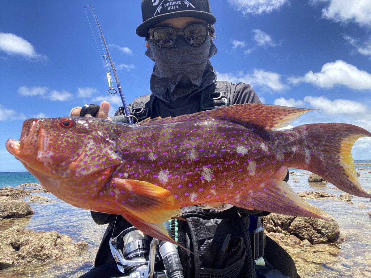 i72tx's tweet photo. 釣り始めて3年が経ちました🎣

宮古島2年目も素敵な魚たちと
出会うことができました(*^^*)♪

離島遠征ラスト1年も
よろしくお願いします🔥 https://t.co/3bqRmFHABl