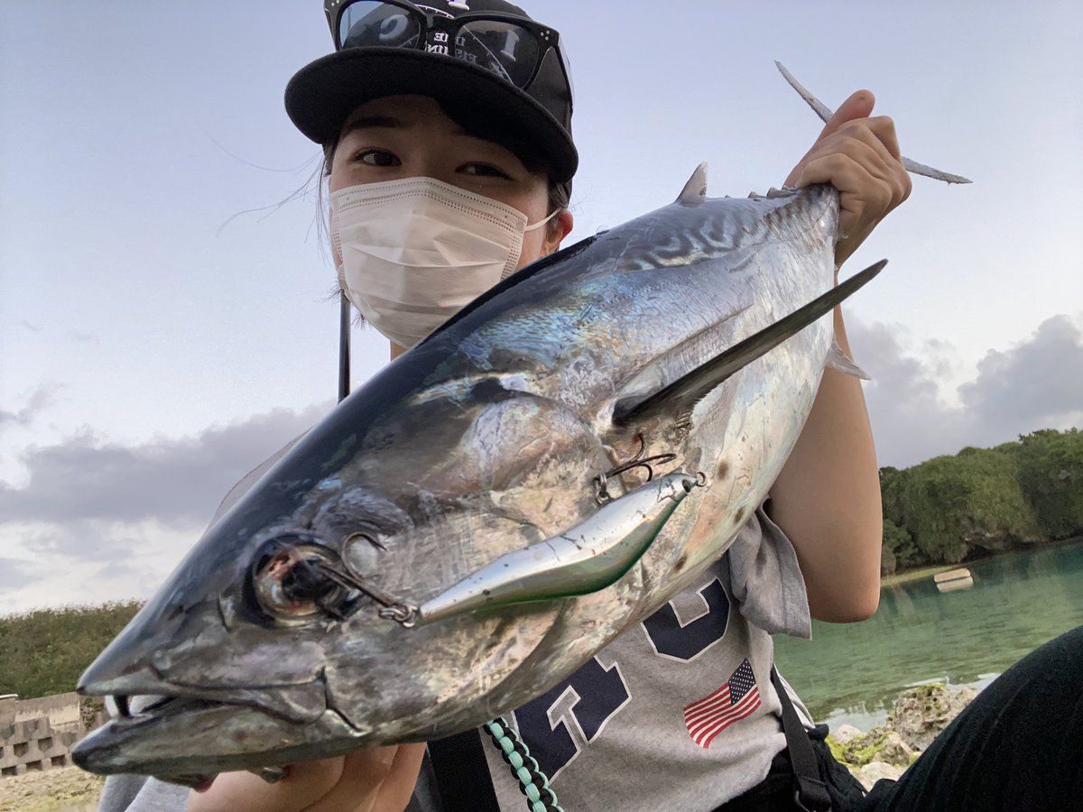 i72tx's tweet photo. 釣り始めて3年が経ちました🎣

宮古島2年目も素敵な魚たちと
出会うことができました(*^^*)♪

離島遠征ラスト1年も
よろしくお願いします🔥 https://t.co/3bqRmFHABl