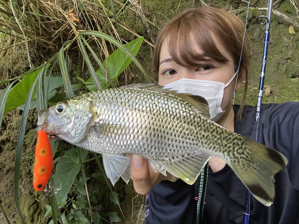 i72tx's tweet photo. 釣り始めて3年が経ちました🎣

宮古島2年目も素敵な魚たちと
出会うことができました(*^^*)♪

離島遠征ラスト1年も
よろしくお願いします🔥 https://t.co/3bqRmFHABl