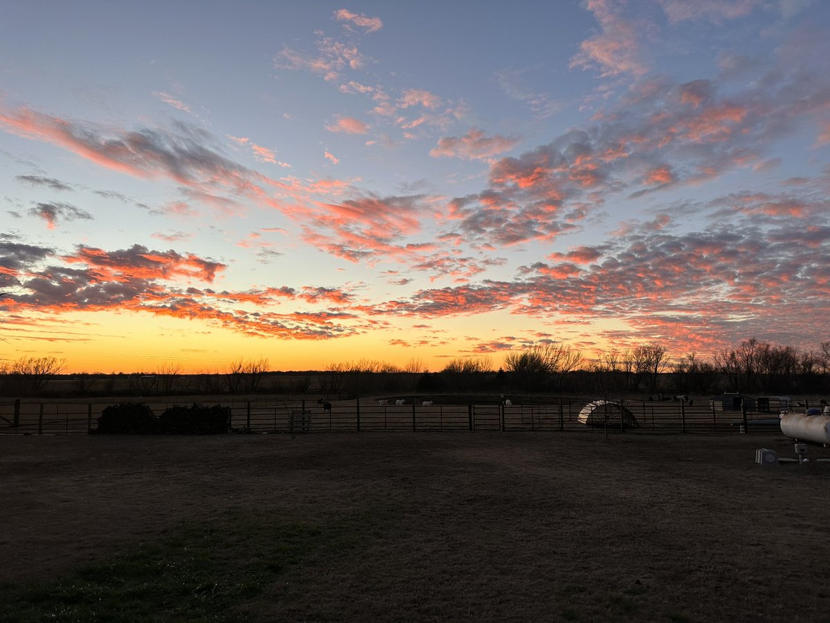 I’m in charge of the goat farm this weekend, this view goes pretty well with an ice cold Yuengling.