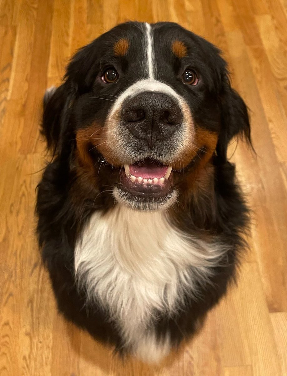 Just a few pictures of my cute boy being a very cute boy🥹💛