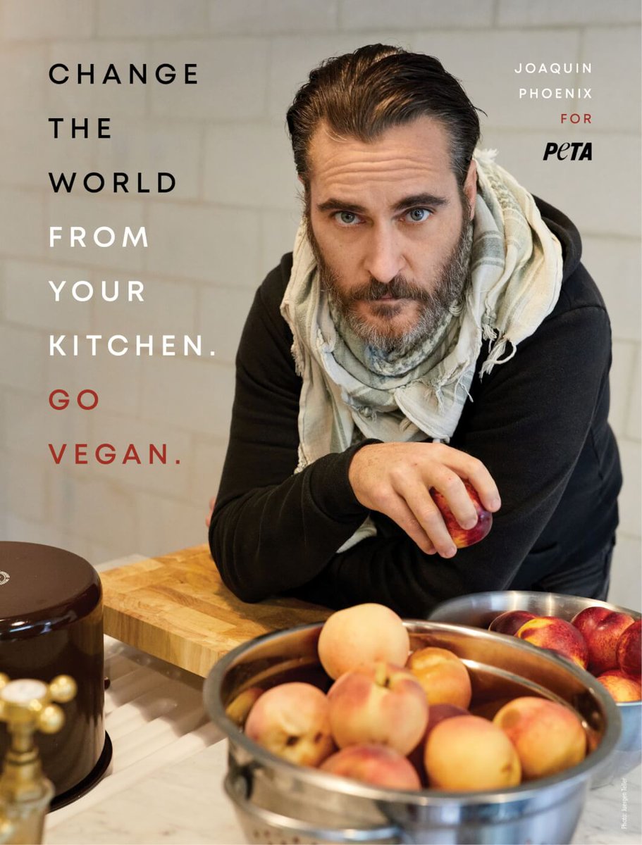 veganfuture's tweet photo. Change the world from your kitchen. Go vegan. https://t.co/9tIULkq5dm