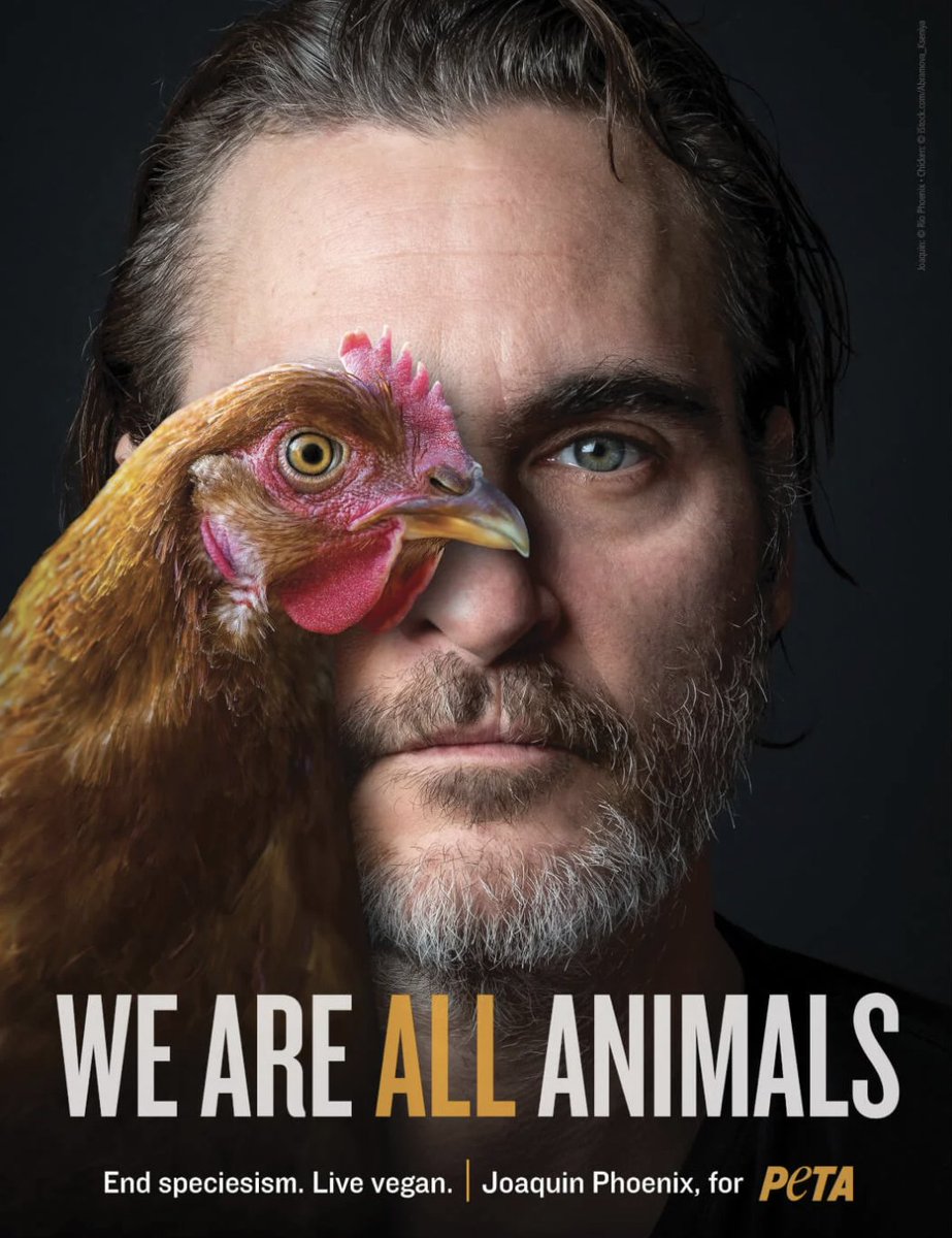 veganfuture's tweet photo. https://t.co/sQT7oUVLJd