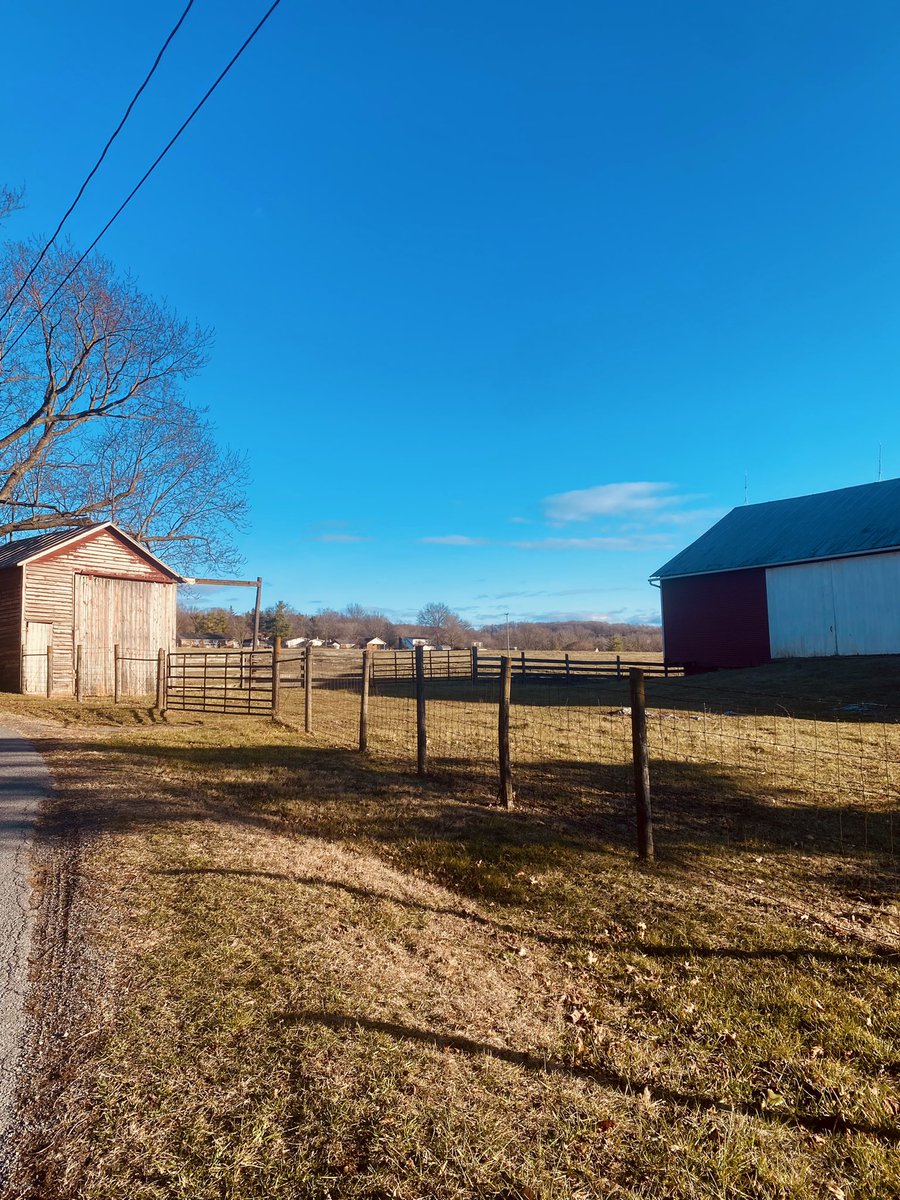 HeatherJRocks's tweet photo. Betcha didn’t know I was from the country lol #va #sticks https://t.co/InJpanNxWb