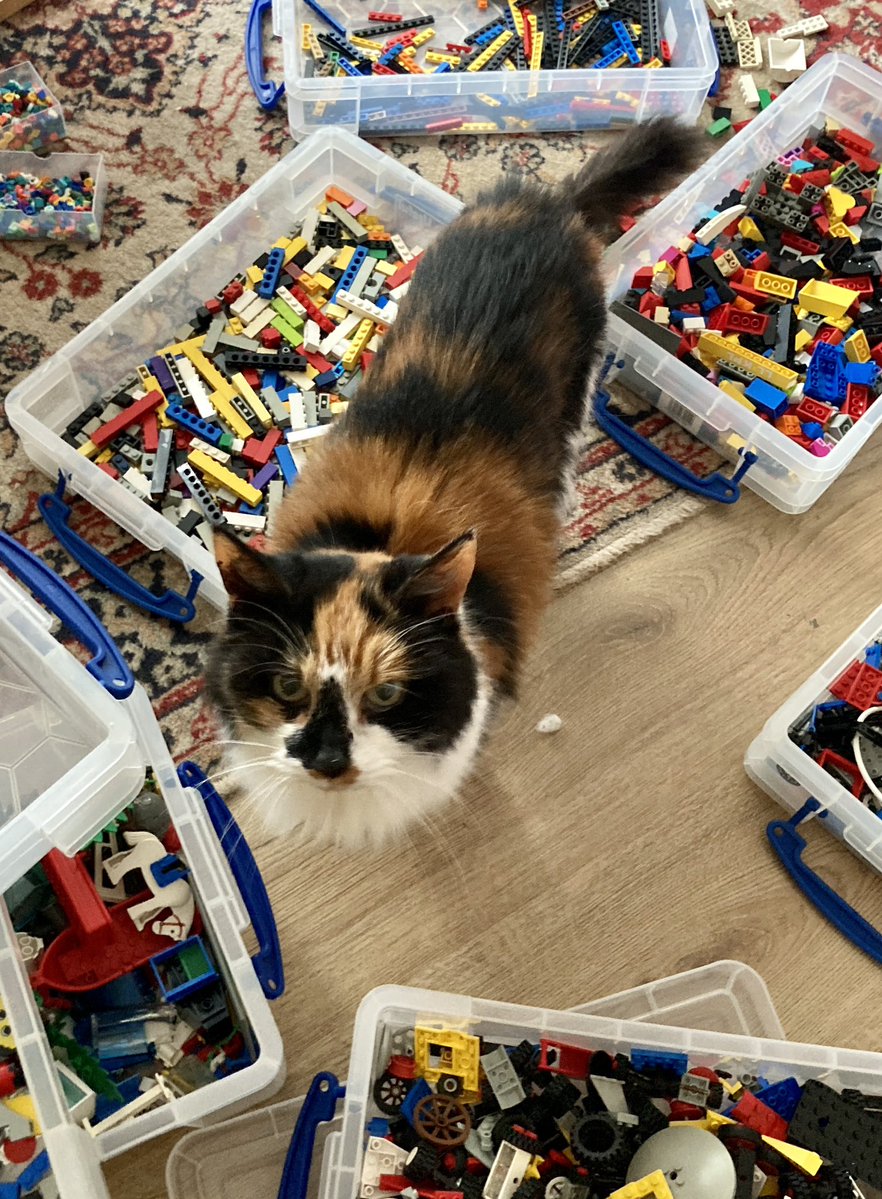 Susan Calman tweet media