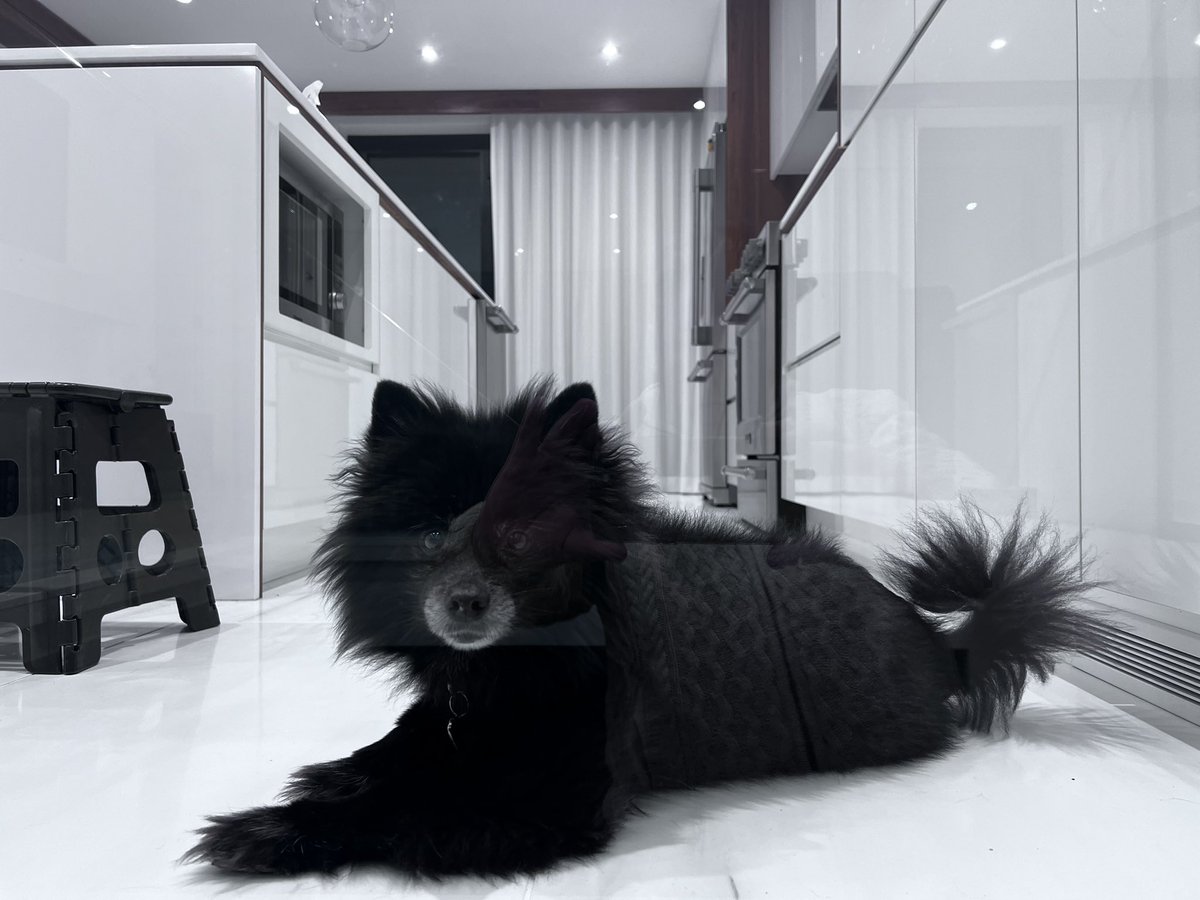 Pascal Bérubé tweet media