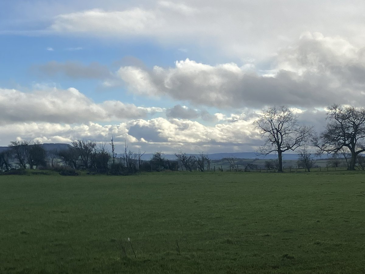 ThePubChampion's tweet image. Visited a couple of great country #pubs in south Herefordshire after a walk on Mynydd Ferddin 🥾⛰️🍺

No self respecting country walk
exists without a pub visit (or two!)

#pubwalks 

themountainguide.co.uk/england/mynydd…