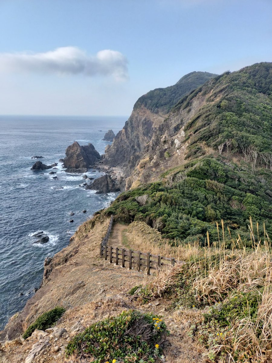 伊之助 tweet media