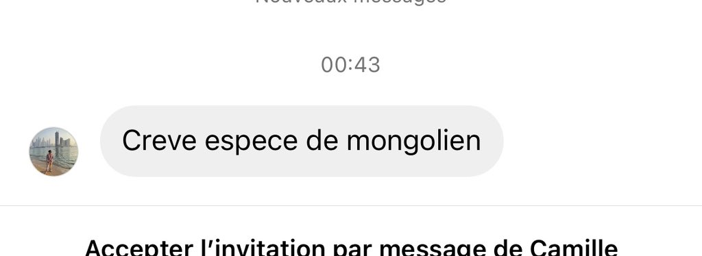 clem_garin's tweet photo. Voilà ce que je reçois à peu près toutes les 5 minutes. Et les responsables sont ceux qui les ont invités, incités et poussés à me démolir sur des groupes WhatsApp. Ces personnes qui au motif de critiquer une performance vocale ont armé des assassins, tout en se prétendant elles-mêmes victimes. 

Elles veulent aller au procès, on va y aller. Et on va demander en priorité une sommation interpellative par huissier de justice du groupe WhatsApp sur lequel l’administratrice appelle à me détruire et me pousser à la mort.

Si vous croyez que vos « connard » et autres folies vont m’intimider, vous vous trompez. 

Je vais vous étouffer psychologiquement, financièrement et judiciairement. Et vous allez répondre de toutes les menaces de mort que je reçois et que vous avez quémandées, orchestrées, alimentées et accentuées.

Ce n’est que le début d’un long combat judiciaire de plusieurs années mais la différence, c’est que j’ai les avocats, les appuis, et l’argent pour que ça dure de très longues années. Et tous les appels que je vais faire, toutes les sommations, les injonctions, pour épuiser financièrement… Ça veut jouer, ça veut me menacer, ça va tout perdre. Tout. 

Je suis la personne la plus dangereuse et destructrice qui soit quand on me cherche ;) parce que la vie ne m’a pas fait de cadeaux et parce qu’elle ne m’en fera jamais. Parce que ce métier est difficile et que chacun doit avoir ses armes.