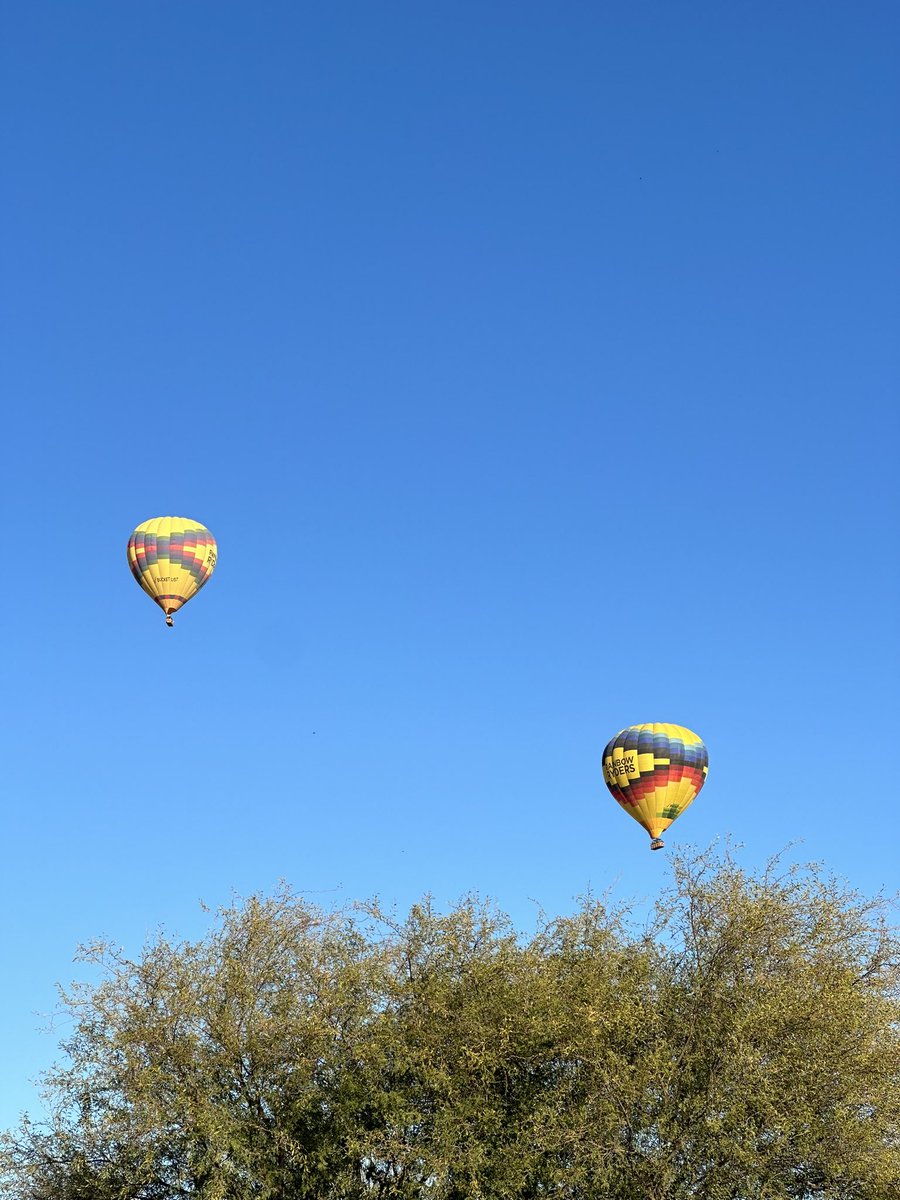chegoyepez's tweet image. Que lujo! Desde mi patio!