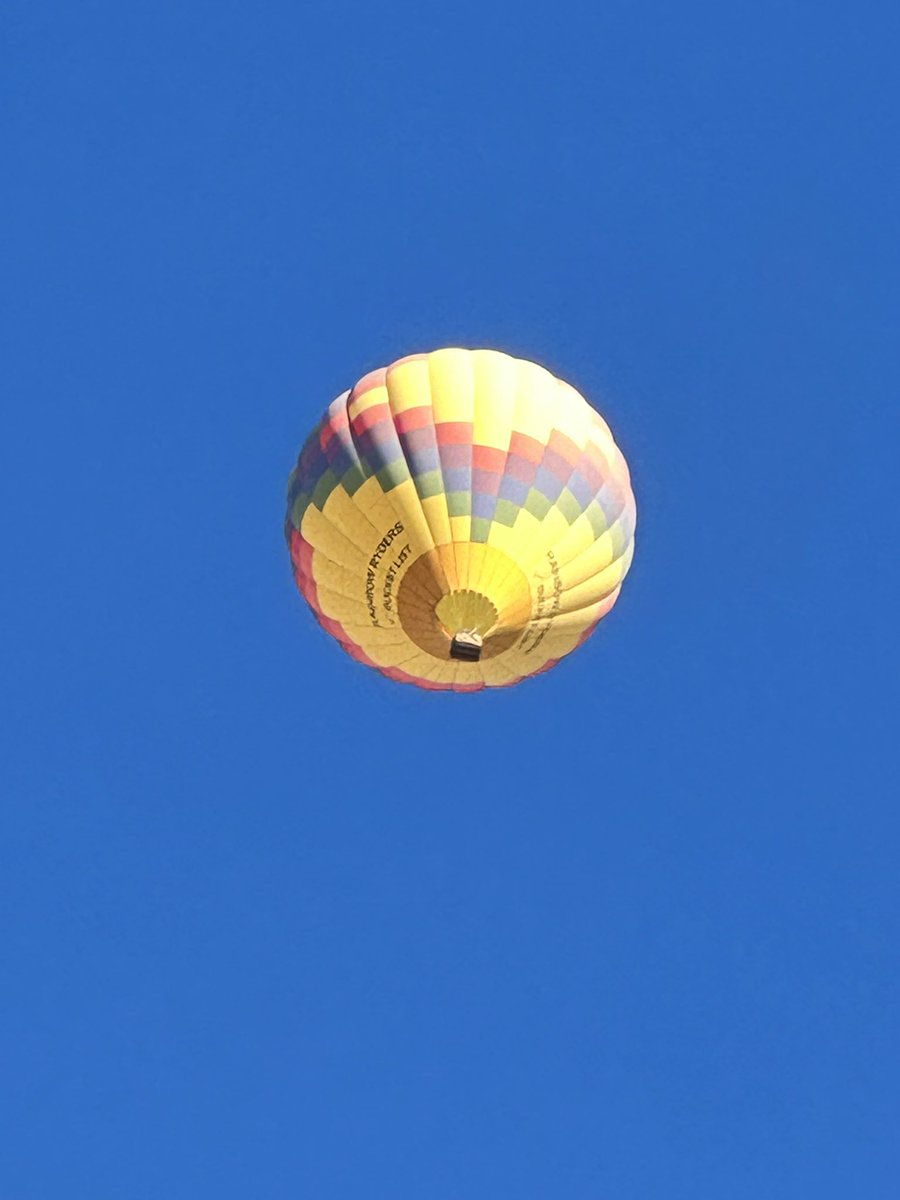 chegoyepez's tweet image. Que lujo! Desde mi patio!