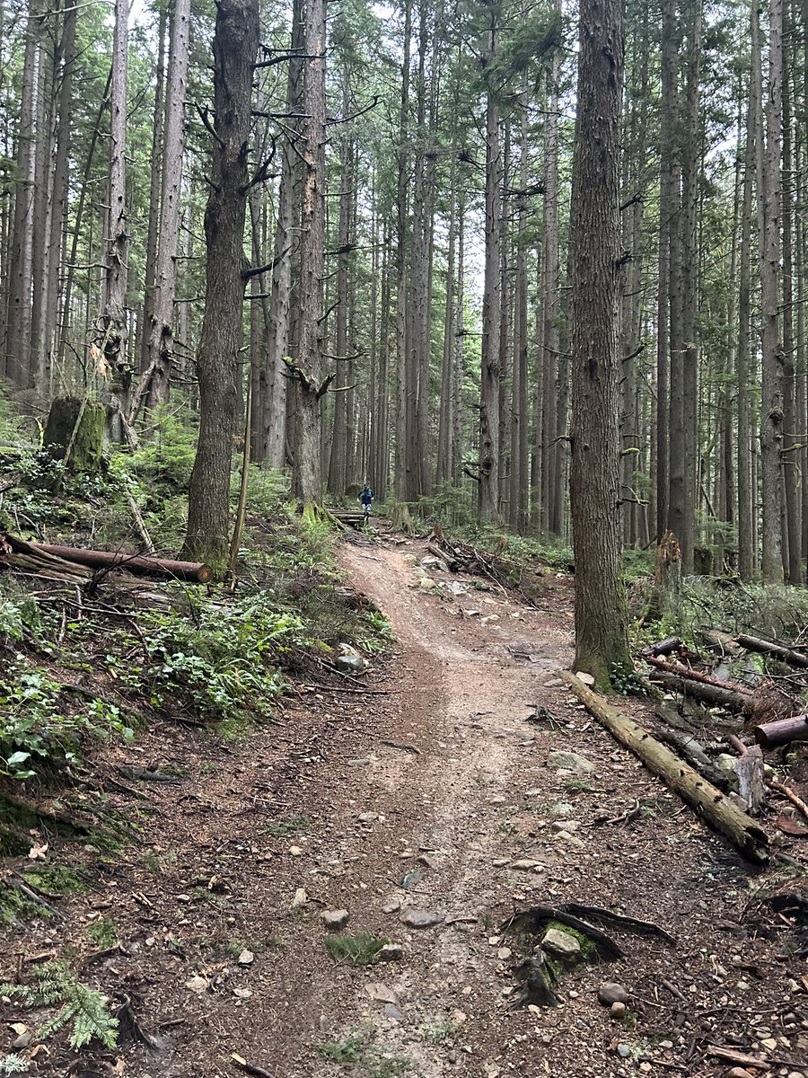 Seymour trail time, with an awesome group of trail friends #trailrunning #nuunlife
