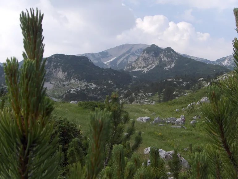 BosnianHistory's tweet photo. Čvrsnica Mountain stands proudly as one of the largest mountains in Bosnia and Herzegovina, boasting an impressive collection of 15 peaks soaring above 2000 meters 🇧🇦🏔️ https://t.co/m3ks3uJtbR