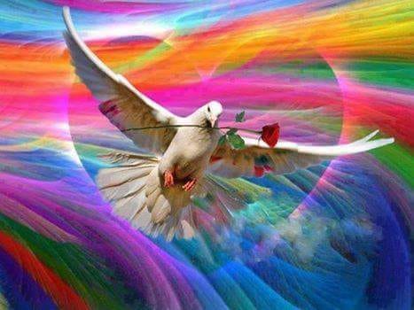 Os deseo un feliz adiós a 2023 y feliz entrada en el año nuevo, con la esperanza de que el naciente 2024 sea un año de PAZ, Fraternidad, Libertad, Igualdad, en un mundo humano, solidario y ecológico, con mis abrazos 💚