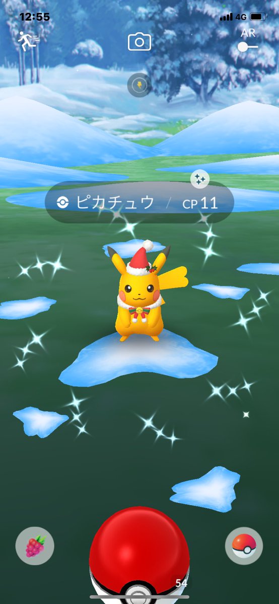 erimamannn's tweet photo. 年末の慌ただしい中イオンモールで初めまして✨
＃ポケモンGO ＃ポケモンGO色違い ＃ピカチュウ https://t.co/4LA9kaivYZ