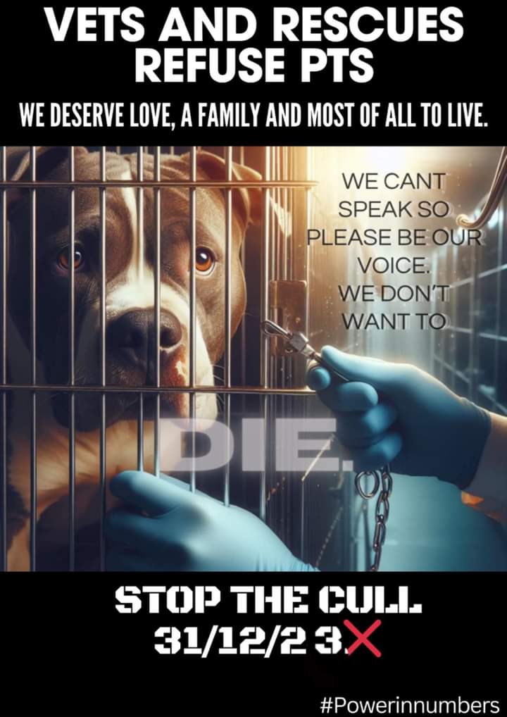 StacyDraper9's tweet photo. #refuse2kill
#defiancenotcompliance https://t.co/T48waItTHh