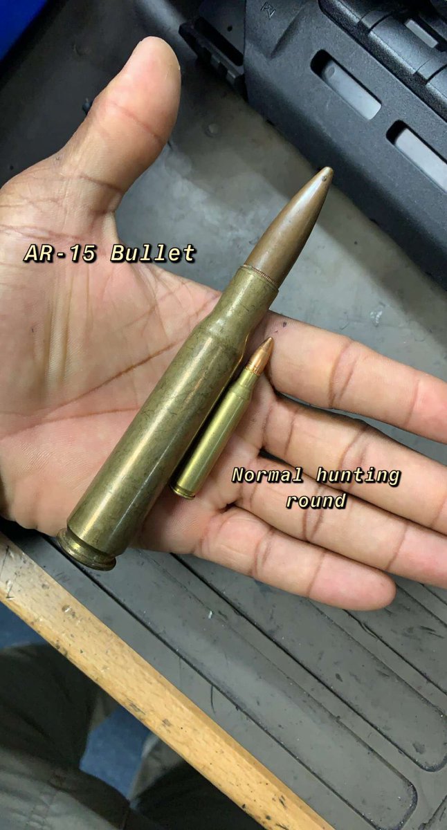 Ragland1836's tweet photo. Don't let the gun lobby fool you! AR15s are NOT used for hunting. They destroy the meat and decapitate human bodies. No real hunter would use one. https://t.co/qJfZJwkakC