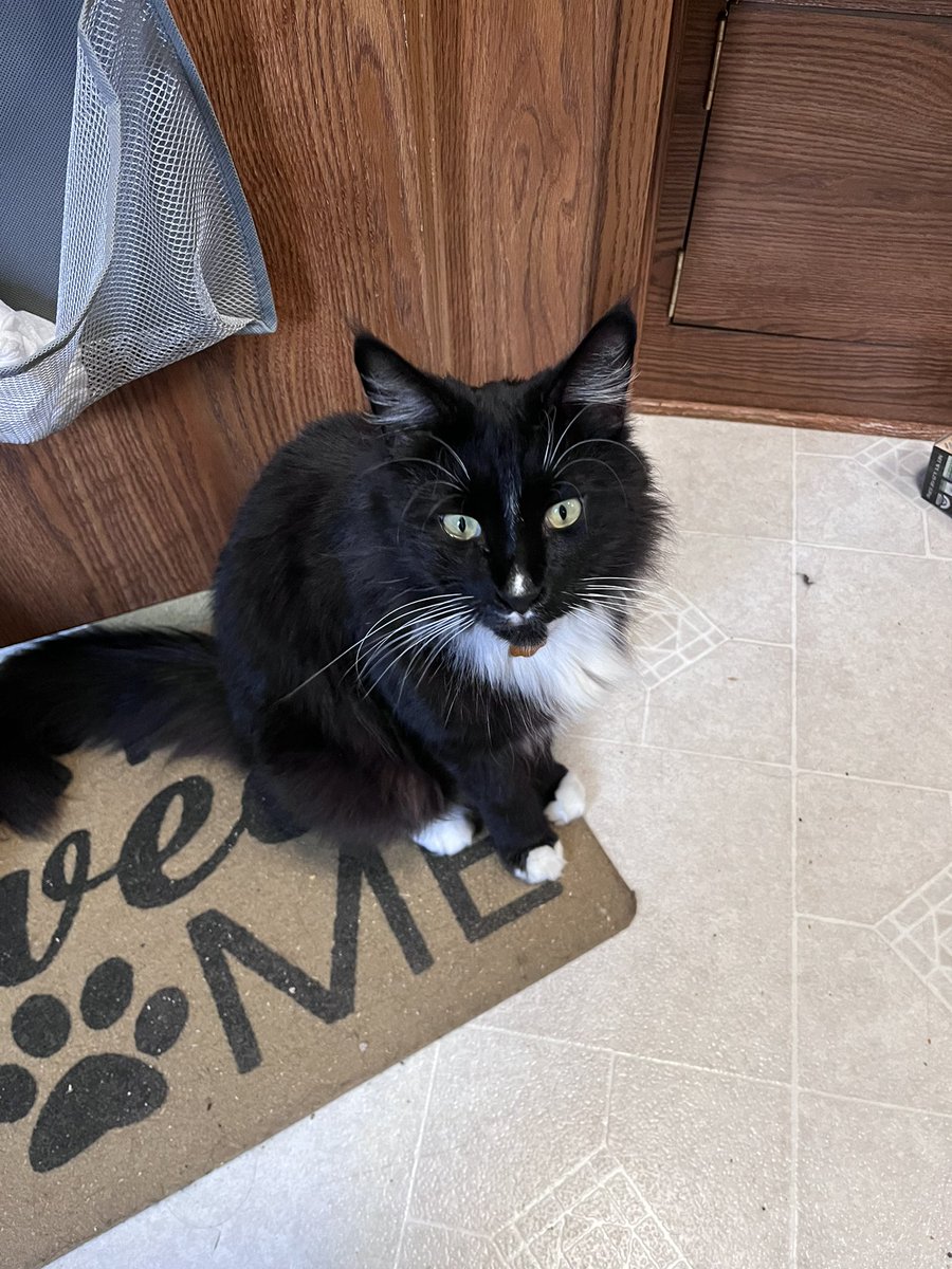 catsfurchrist's tweet photo. The Mosey, and tiny home living. 🖤🤍 https://t.co/PTHe2bDEpp