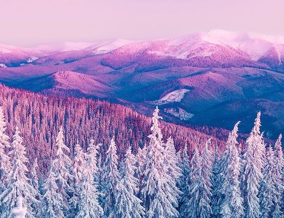 Ta1Doe's tweet photo. forest and snow nature photography - 
God makes good and beautiful things. https://t.co/PFR6xj0uJF