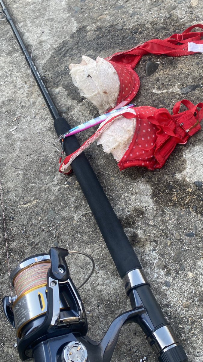 ～2023～
1月4日誕生日をスタートに前半写真を見返すだけでも軽く30本と出会え、特に190ミリの大ペン大活躍の前半。

後半はタコ、メバル、アジと戯れる日々

ボトムでガツンと食ったブラジャーも忘れない！

今年も最高なタックルに感謝

皆さん1年ありがとうございました！

良いお年を🙇‍♂️