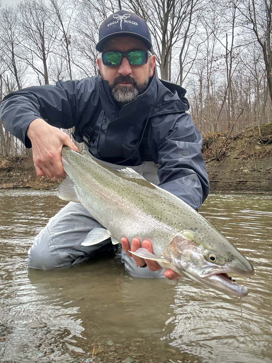 woolybugged's tweet photo. The Lake Erie tributaries fished very well this weekend. Tomorrow a lot of people will be saying “Should’ve been here yesterday.”

#eriesteelhead #pasteelhead #patrout #steelhead #eriepa #steelheadalley #chrome #catchingchrome #chromedome #fishon #pa #getoutdoors #flyfishing https://t.co/xzQ37bZQ2T