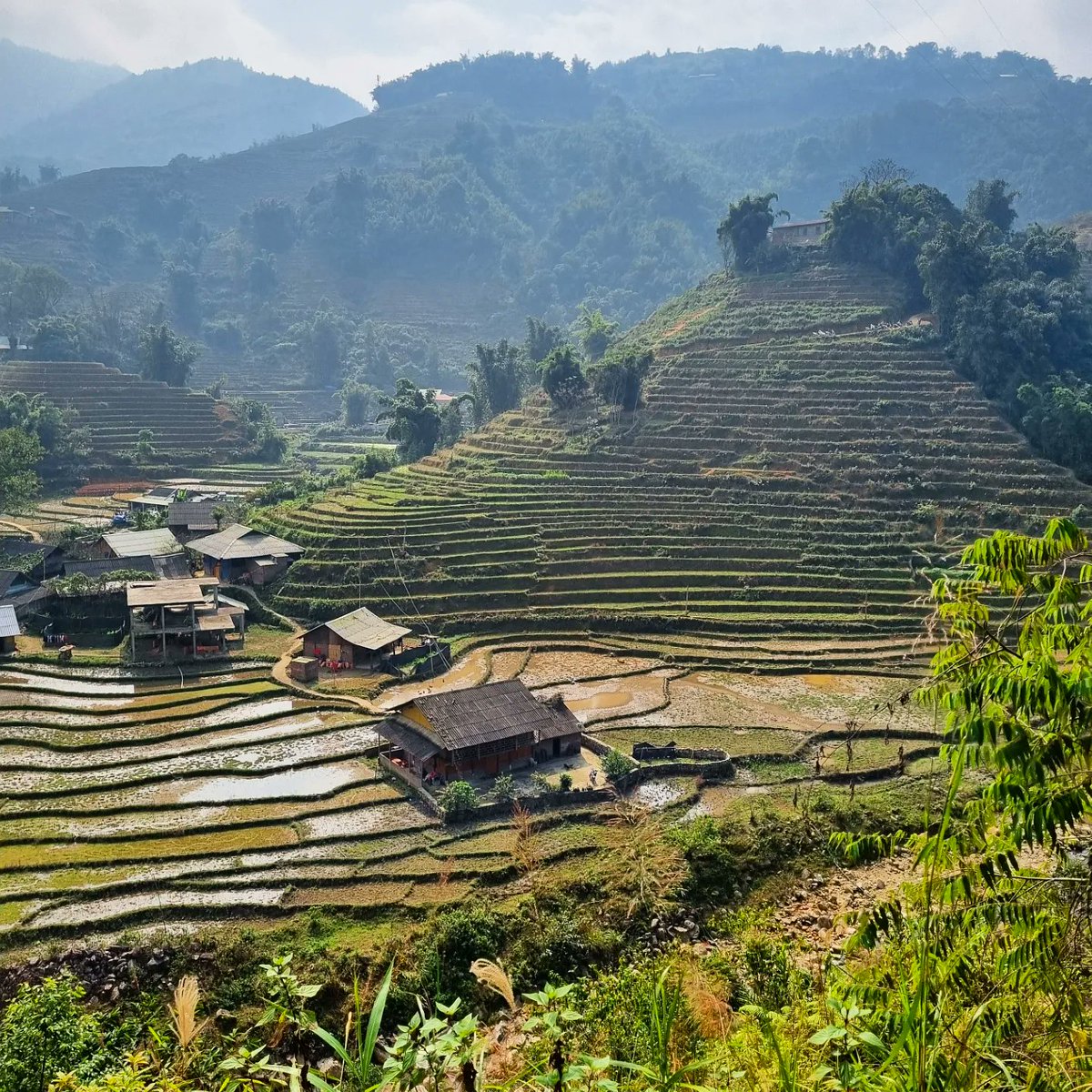 Vietnam 🇻🇳 ⛰️