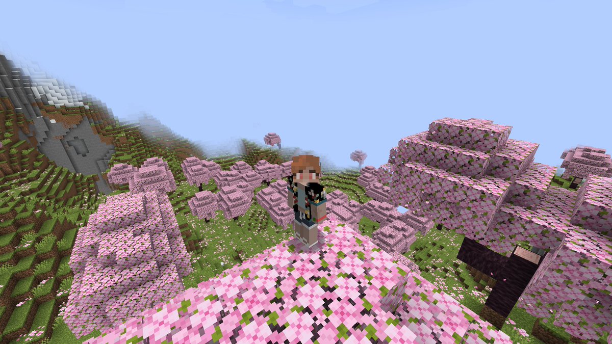 Viipy_'s tweet photo. This isn't stranded.. #factionchroniclestwt #StrandedSMP https://t.co/fH5a0KvnAy