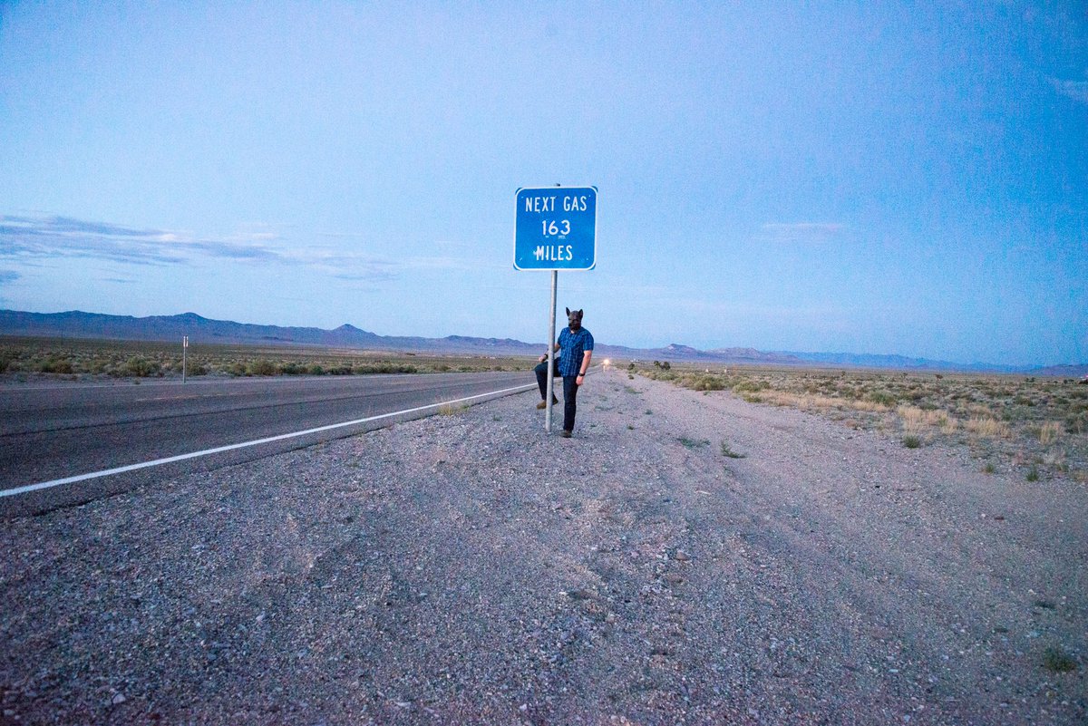 Tug collar, Get reward. tweet media