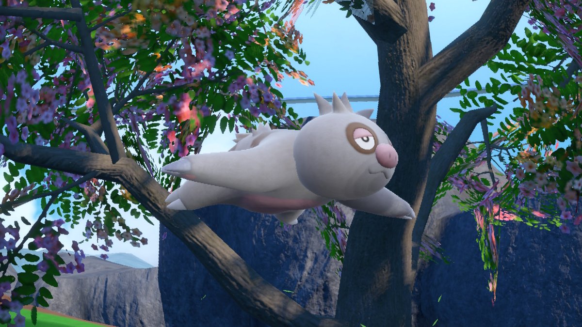 amarokster's tweet photo. unbothered. moisturized. happy. in my lane. focused. flourishing. floating. #ポケモンSV #NintendoSwitch https://t.co/Y7tiTeCvka