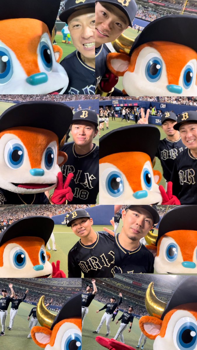 bullbell_B's tweet photo. 2023年もあとすこしやね〜🐮

のせきれてなかった
オールスターのおもいで📸⚾️
いっぱいとってくれてありがとう🌟
たのしかったなぁ〜😆

ぼくのかおいっぱいおもろ🤣
かんとくとのどうがみてな👀

#マイナビオールスターゲーム2023
#Bs2023 #プロ野球 #NPB #ORIX
#バファローブル #バファローベル https://t.co/Y2KjtOatsq
