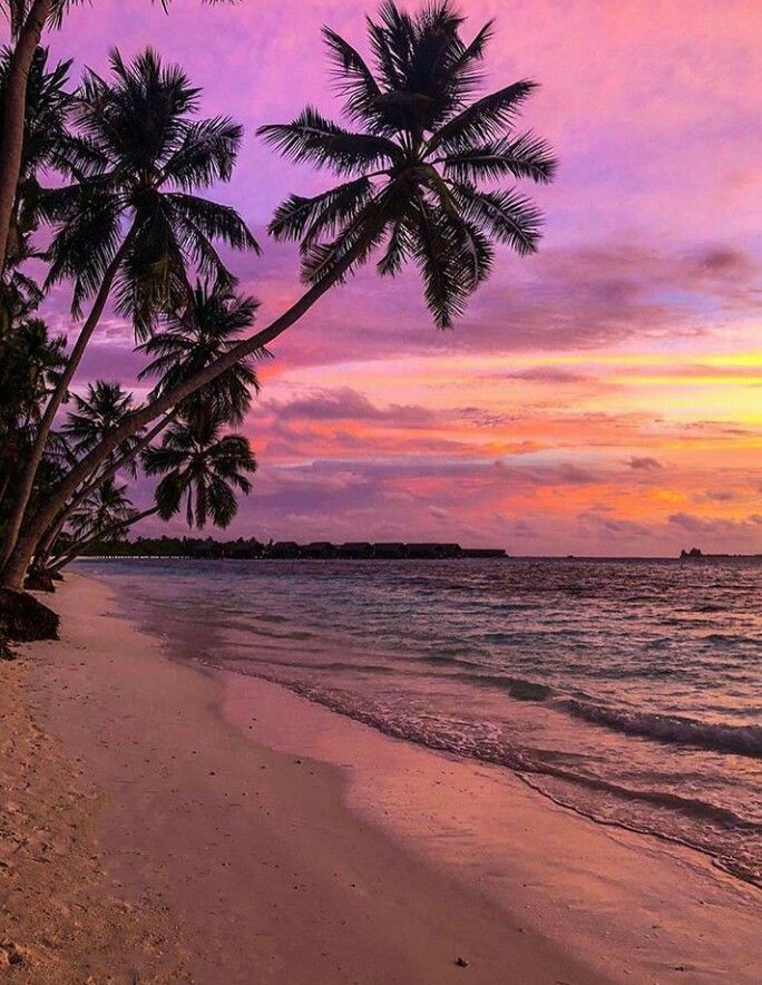 nature_v_iew's tweet photo. https://t.co/7OlHQ6wOQw