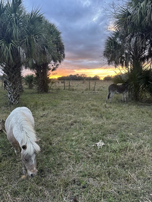 Happy days https://t.co/rBO731dfO4<a href="/tag/phawards2024"class="tags"><span>#phawards2024</span></a>