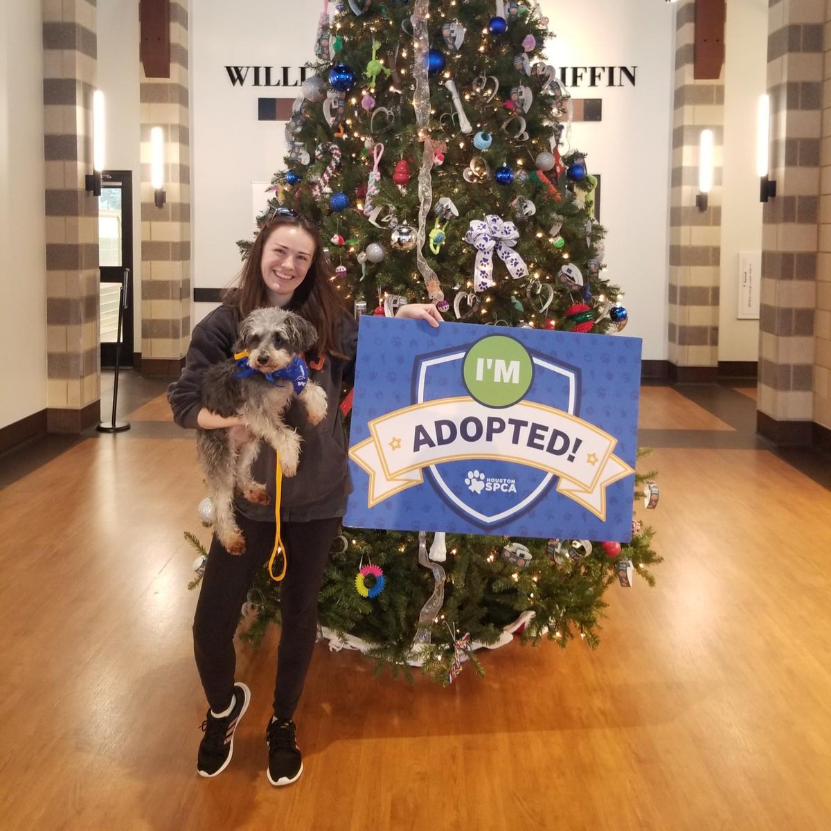 HoustonSPCA's tweet photo. ππ Cheers to an amazing year of adoptions! πΎβ¨ Join us in celebrating the love, resilience, and new beginnings that filled homes across our community in 2023. Here's to more tails wagging and purrs echoing in 2024! π₯πΆπ± #AdoptionHighlight #Farewell2023 https://t.co/IpN0w7rexK