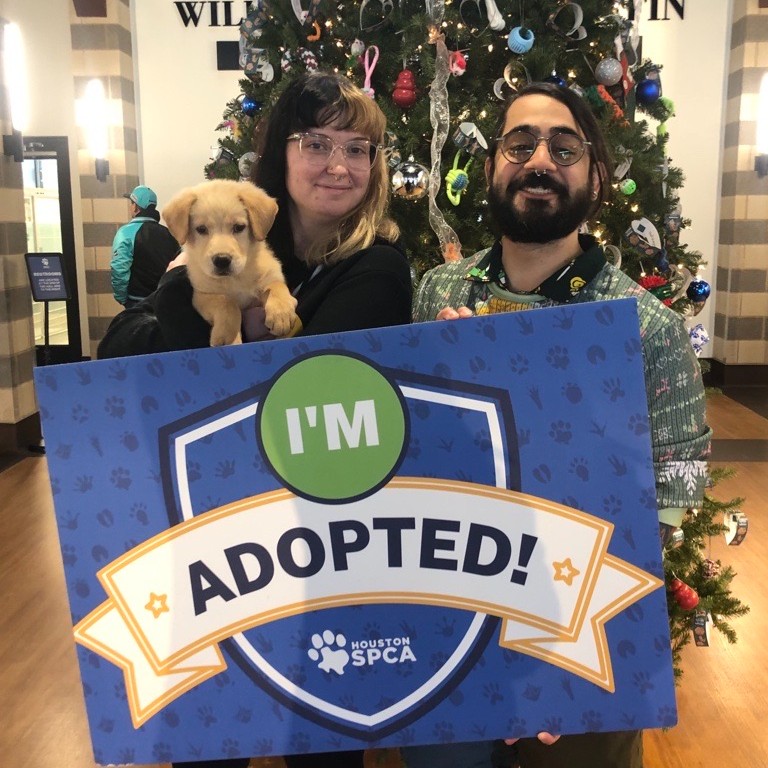 HoustonSPCA's tweet photo. ππ Cheers to an amazing year of adoptions! πΎβ¨ Join us in celebrating the love, resilience, and new beginnings that filled homes across our community in 2023. Here's to more tails wagging and purrs echoing in 2024! π₯πΆπ± #AdoptionHighlight #Farewell2023 https://t.co/IpN0w7rexK