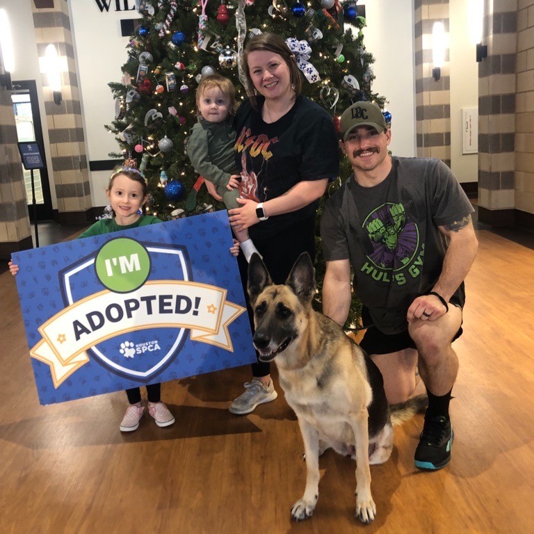 HoustonSPCA's tweet photo. ππ Cheers to an amazing year of adoptions! πΎβ¨ Join us in celebrating the love, resilience, and new beginnings that filled homes across our community in 2023. Here's to more tails wagging and purrs echoing in 2024! π₯πΆπ± #AdoptionHighlight #Farewell2023 https://t.co/IpN0w7rexK