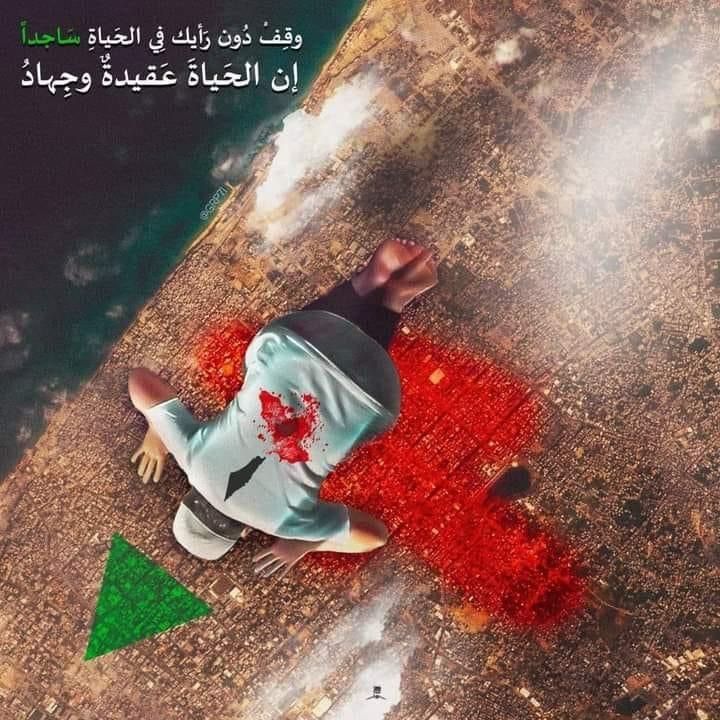 Ahmedsaadm2's tweet photo. لم يكتفي بالشهادة ف مات ساجداً https://t.co/deY6bZJUKz