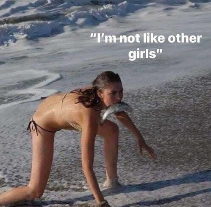 ❤️‍🔥𝖊𝖑𝖎𝖙𝖆❤️‍🔥🐛 (@coolparte) on Twitter photo 