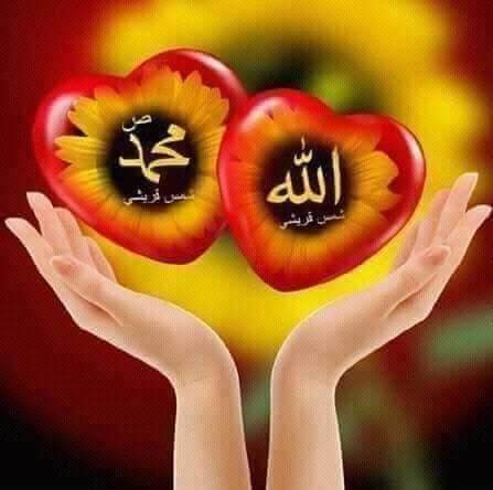 SajjadPadyar11's tweet photo. ﷺﷺﷺﷺ الکتاب ﷺﷺﷺﷺ
تم خوش ہوجائو،یقینا اس قرآن کا ایک کنارہ ﷲکےہاتھ میں ہےاوردوسرا تمہارےہاتھوں میں،
لہذا تم اسےمضبوطی سےپکڑلو،توبلاشبہ تم کسی صورت ہلاک نہیں ہوگےاورتم ہرگزاس کےبعد گمراہ نہیں ہوگے-
====== صحیح الجامع الصغیر:۳۴-======
#ALLAHUEKBER #AllahMuhammad https://t.co/aSDchEHSRn