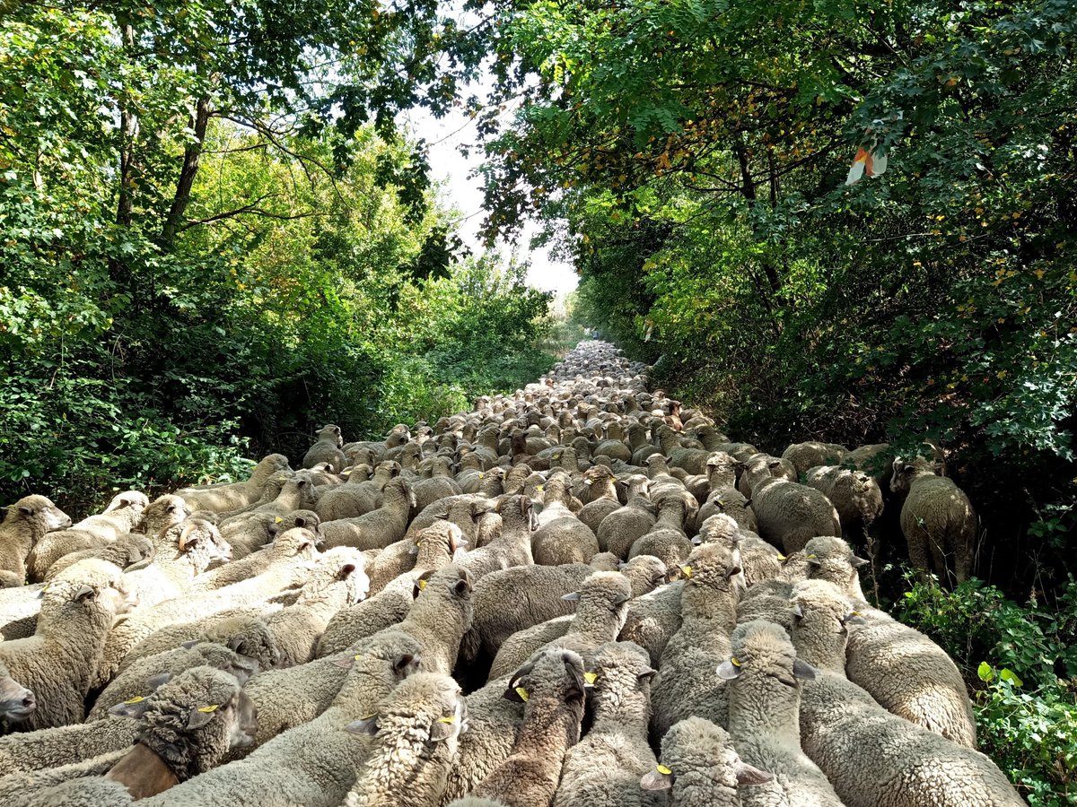 due_mari_'s tweet photo. Pilot project: Molise Region
Rasing the value of "Water path" from Castelpetroso to Cercemaggiore https://t.co/zRx9MQhVrb