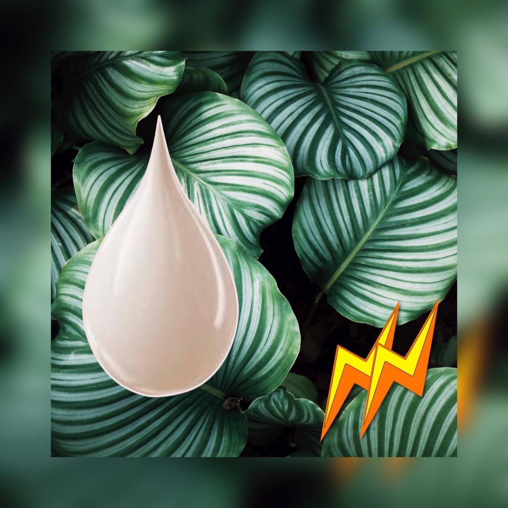 _REVENN's tweet image. revenn-energy.company.site

We introduce REVENN®, the 100% Ecological Cyclical Energy Resource that replaces the consumption of fuels in marine engines.
What makes REVENN® so extraordinary?
Firstly, efficiency. REVENN® is 70% more cost-effective than conventional options.