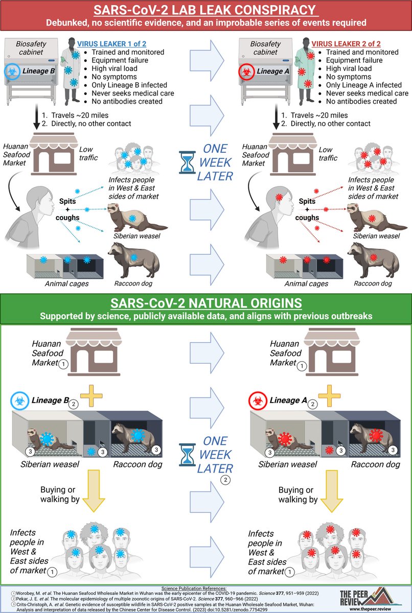 gnewkirk's tweet photo. @ESYudkowsky The lab leak requires so many improbable scenarios that it can nearly be considered null at this point.  Versus a completely probable scenario that has happened and will happen again. All scientific evidence has pointed to zoonotic origin; zero evidence has pointed to a lab leak. https://t.co/JV6WHLmTOw