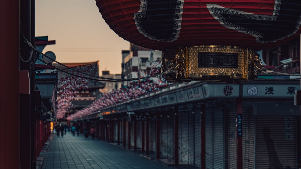 サカシタ tweet media