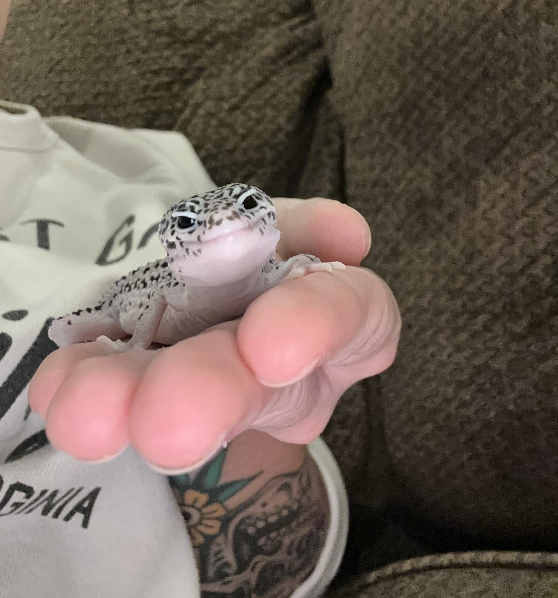 rowbeer_'s tweet photo. I loved babysitting this little guy https://t.co/QjYNTtDo4V