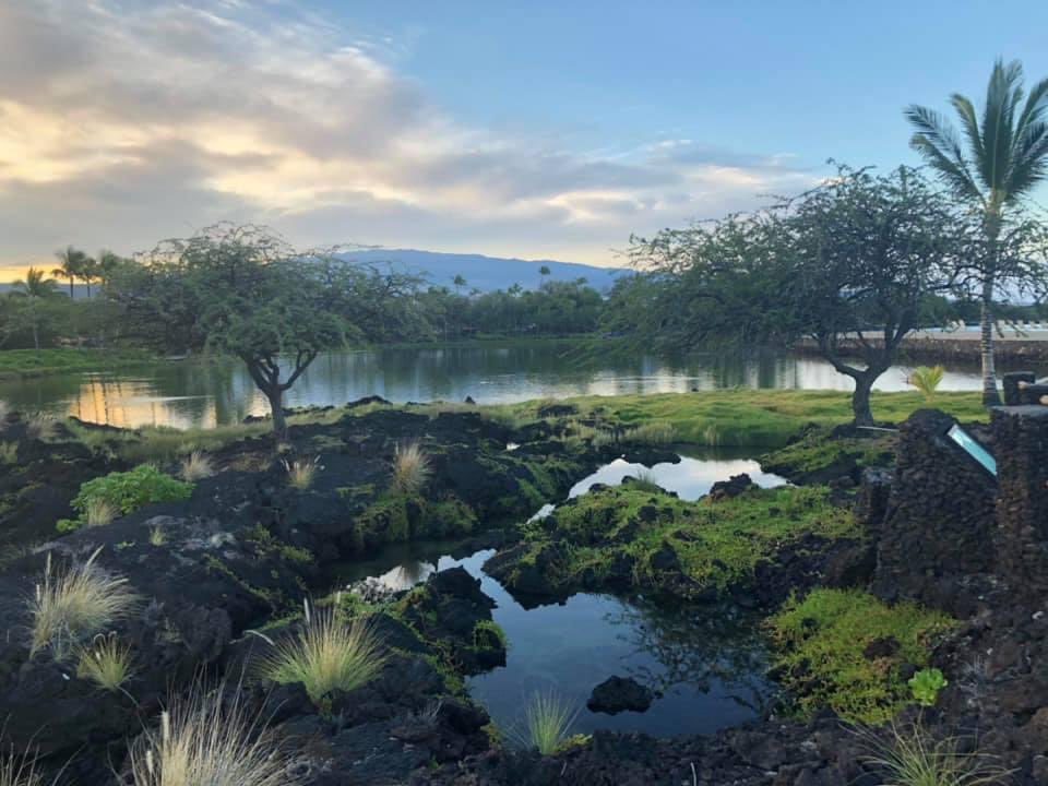 Kona, Hawaii New Years 2024