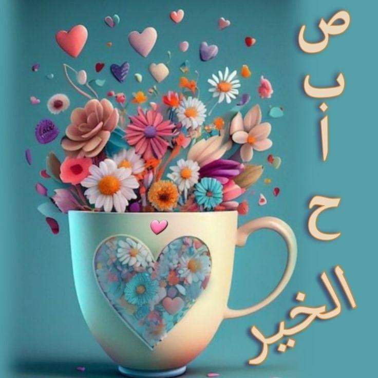 المستشار محمد الحاضري tweet media