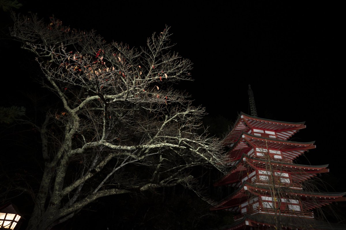 tsasaki77's tweet photo. 新倉山浅間公園

#nature #naturephotography  #landscape #landscapephotography  #travel #travelphotography #earth #discoverearth #discoverglobe #wind #light #mountain #sky #vitality #風景写真 #風 #光 #山 #空 #自然 #生命力 https://t.co/VQxbScwOOA