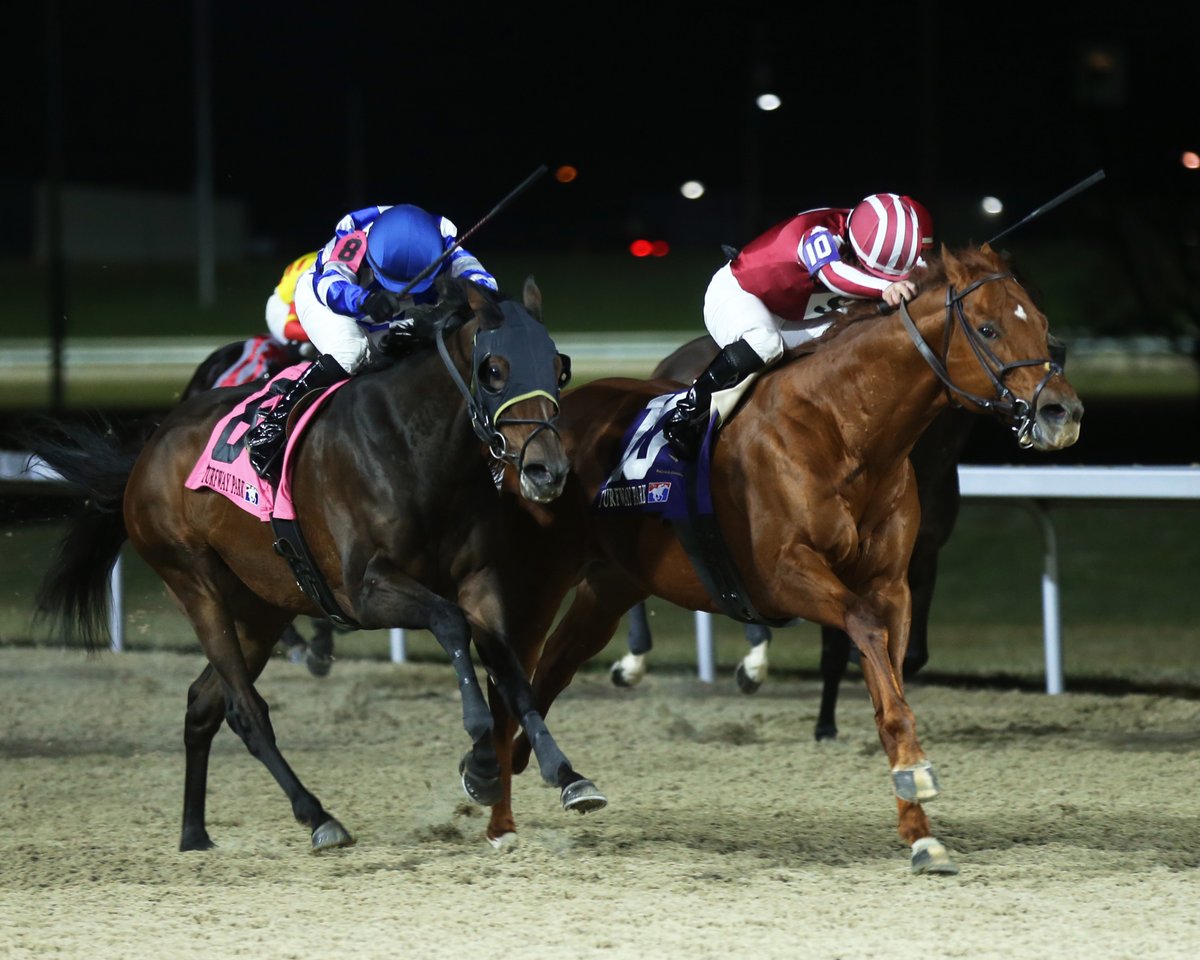 HorseRacingKK's tweet photo. Congratulations to the connections of Night Time who gamely held off Let My People Go through a thrilling stretch battle in tonight's $125,000 Holiday Cheer.

Read the full race recap, plus get a sneak peak of next Saturday's Turfway Prevue Stakes, here: https://t.co/3TNLRqYxvo https://t.co/VWFCu00Sed