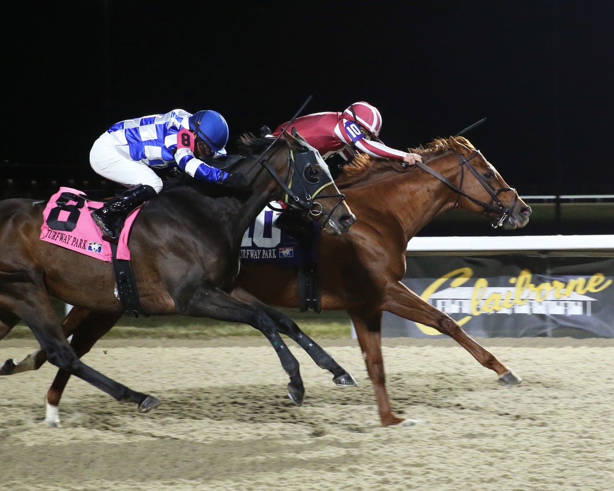 HorseRacingKK's tweet photo. Congratulations to the connections of Night Time who gamely held off Let My People Go through a thrilling stretch battle in tonight's $125,000 Holiday Cheer.

Read the full race recap, plus get a sneak peak of next Saturday's Turfway Prevue Stakes, here: https://t.co/3TNLRqYxvo https://t.co/VWFCu00Sed