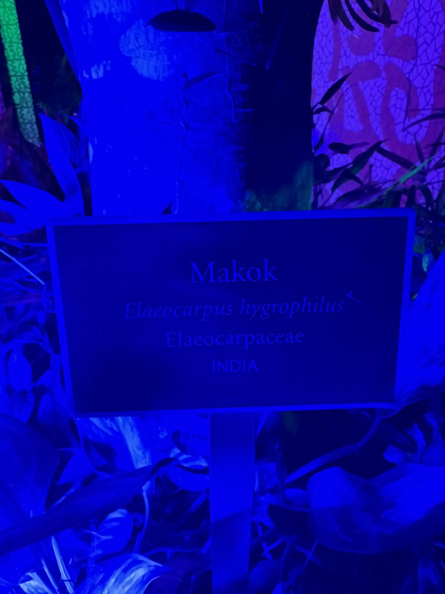 eharrison2017's tweet photo. *tree-naming meeting*

Person 1: what should we name this tree? Does anyone have any ideas?

Person 2: how about after something you love?

Person 1: https://t.co/zgT63AaimS