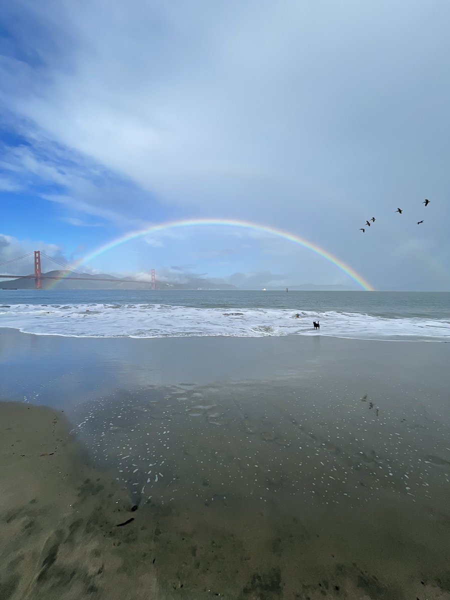 benjamin tweet media